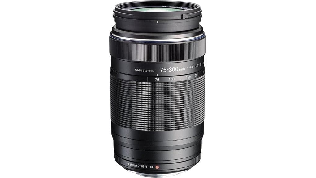budget telephoto with compromises