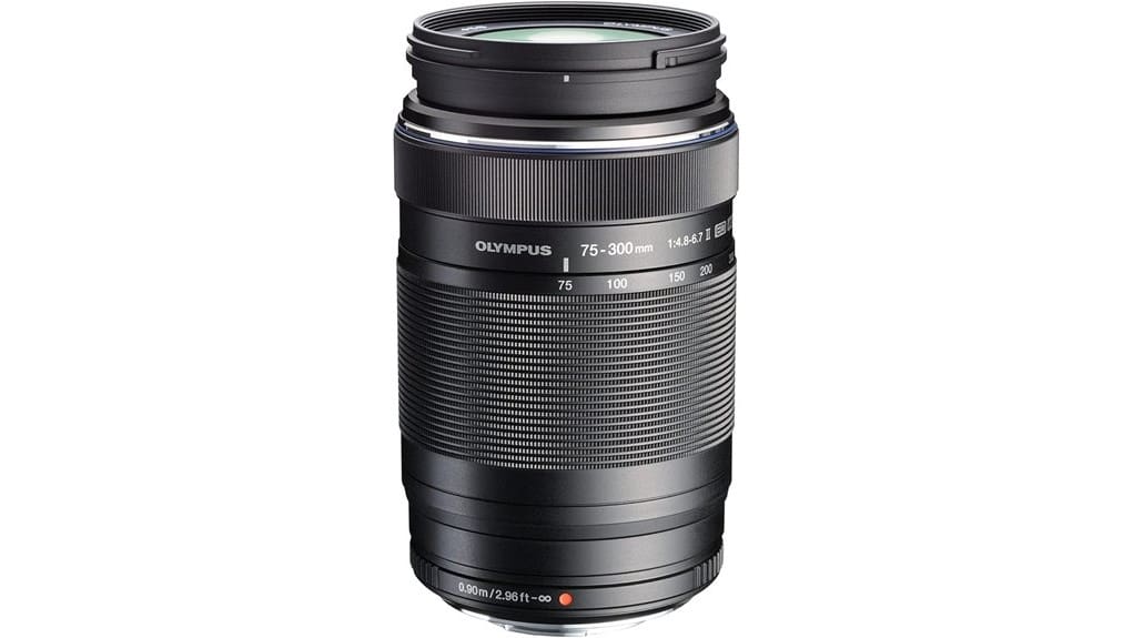light compact telephoto zoom